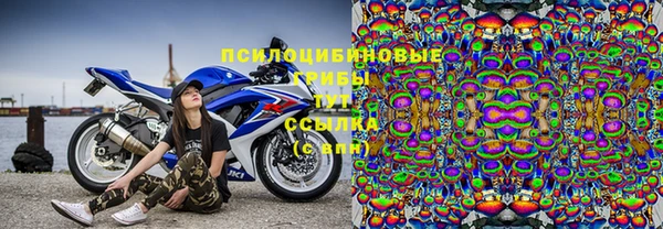 первитин Инсар