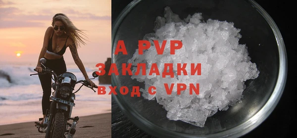 крисы Инта