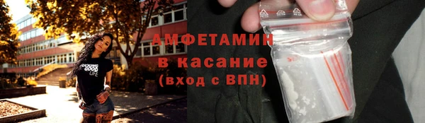 крисы Инта