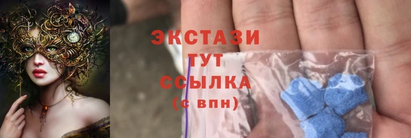 крисы Инта