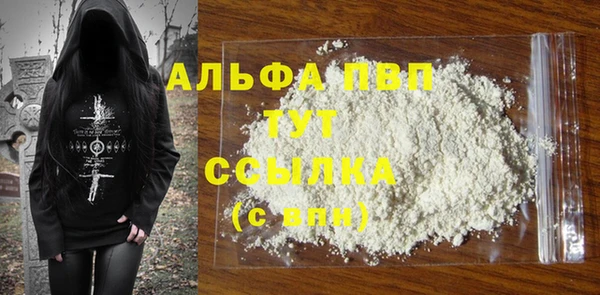 крисы Инта