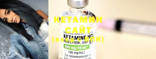 крисы Инта