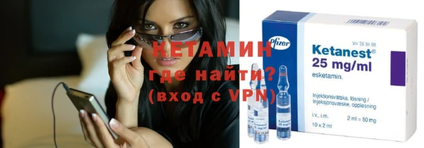 крисы Инта