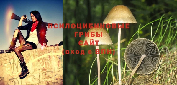 первитин Инсар