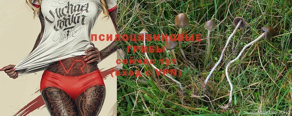 герыч Иннополис