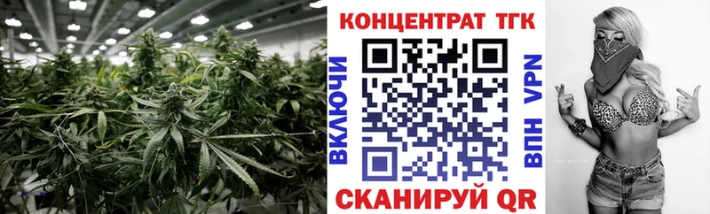 ТГК концентрат  Купить закладки  Стародуб 