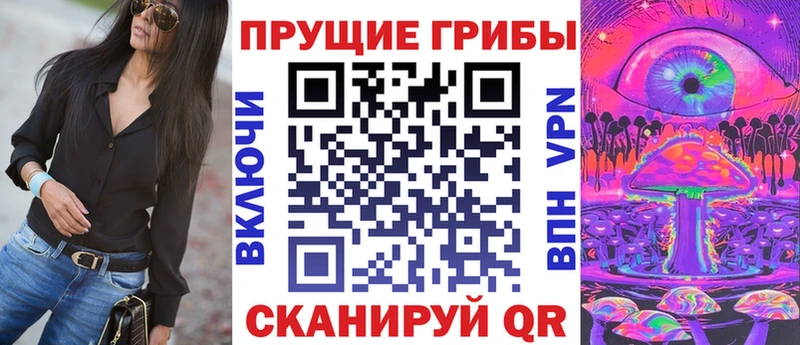 Купить где  Стародуб  Галлюциногенные грибы мицелий 